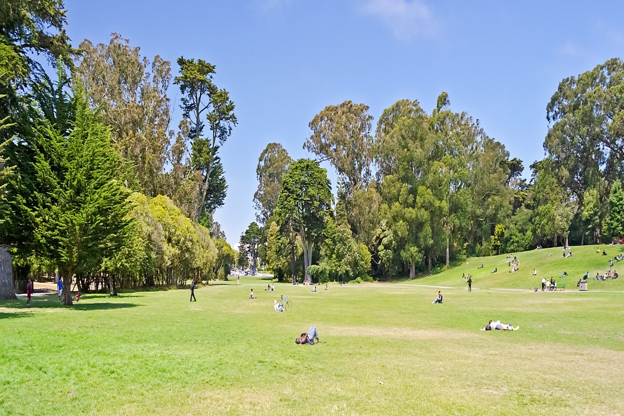 Brighton Park